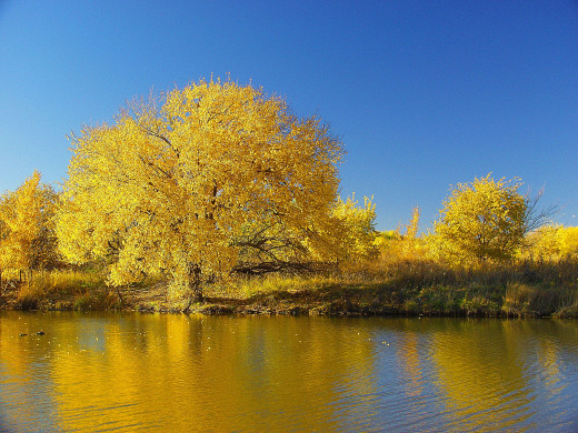 49037 (a): :2048x1536
